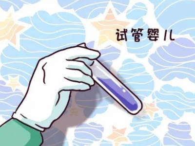 代生生男孩代怀中介